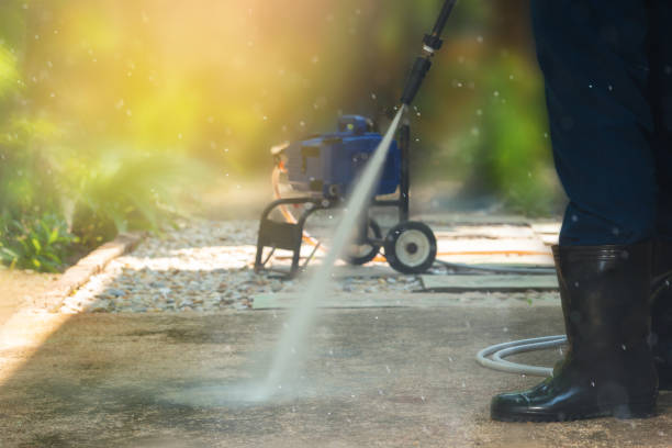 Best Animal Enclosure Cleaning  in Wolfforth, TX